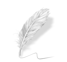 Image plume newsletter