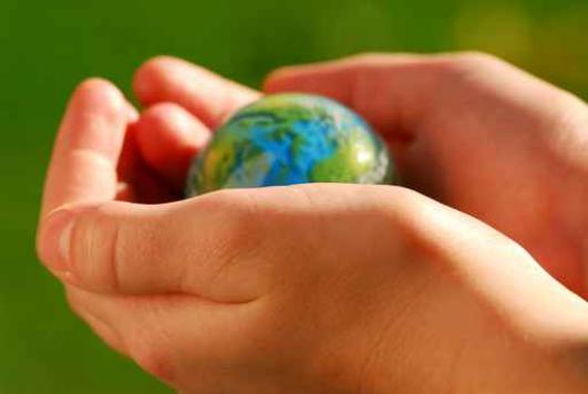 Notre sélection de livres : écologie